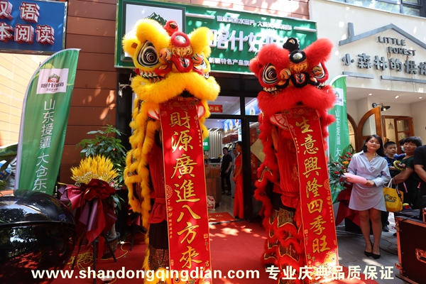 濟(jì)南疆山商貿(mào)龍湖開業(yè)儀式